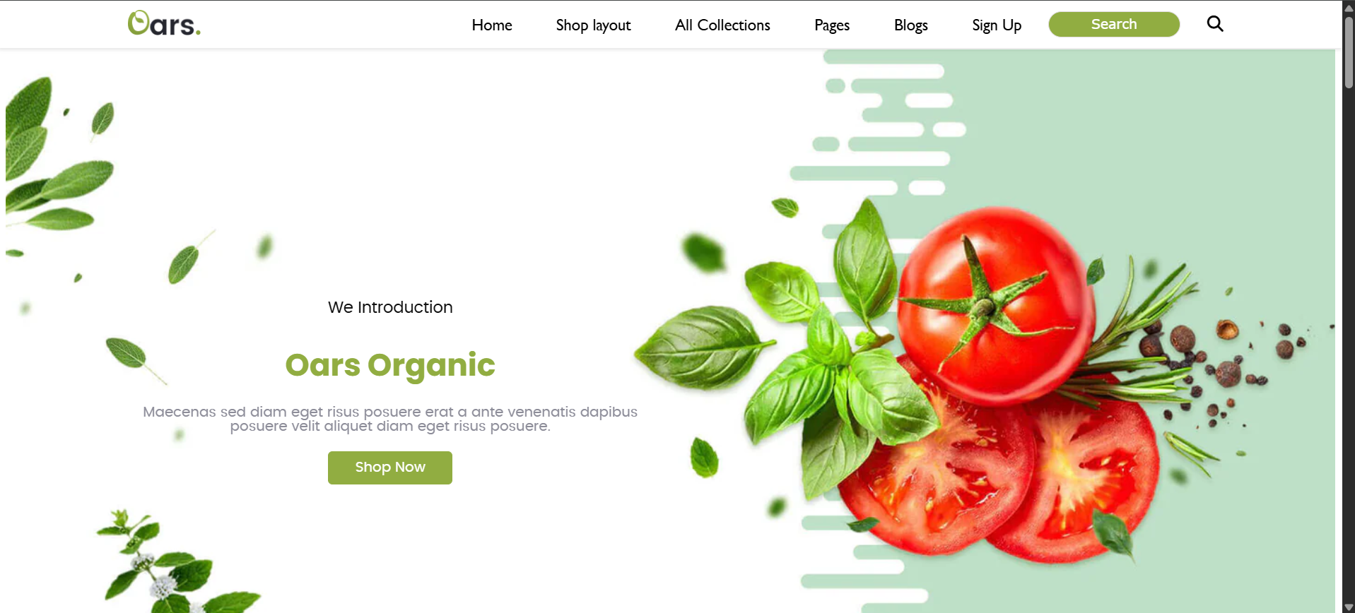 Online Shopping Store